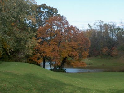 fall 2006 colours near pond